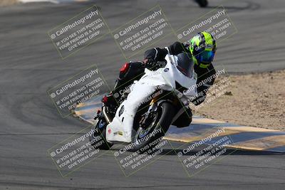 media/Mar-13-2022-SoCal Trackdays (Sun) [[112cf61d7e]]/Turns 9 and 8 (1020am)/